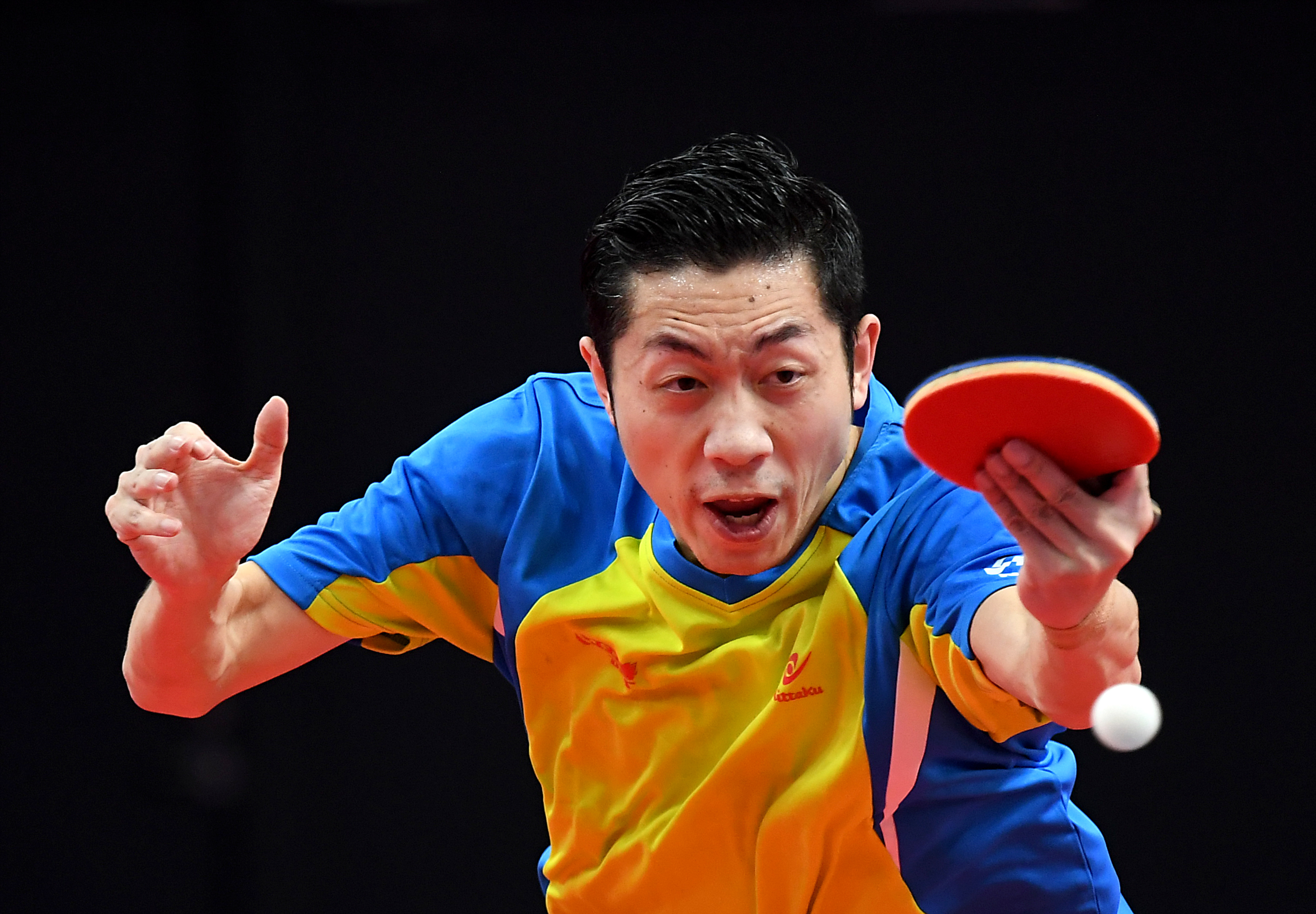 关于中国乒乓球队险胜奥地利乒乓球队，许昕惊艳世界的信息