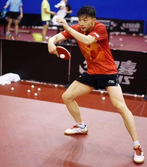德国队横扫法国队,张继科惊艳四座 德国队横扫法国队,张继科惊艳四座