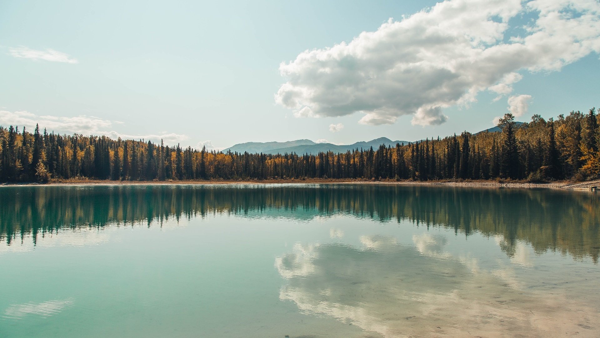 跨界竞技启示录，当灰熊的稳遇见莫兰特的狂—体育精神的两种极致表达