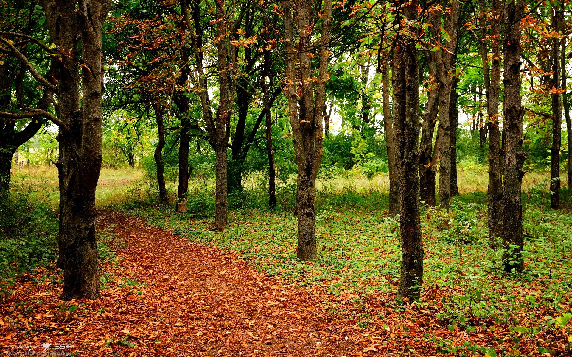 金玟哉压制级发挥，国际米兰收割玻利维亚