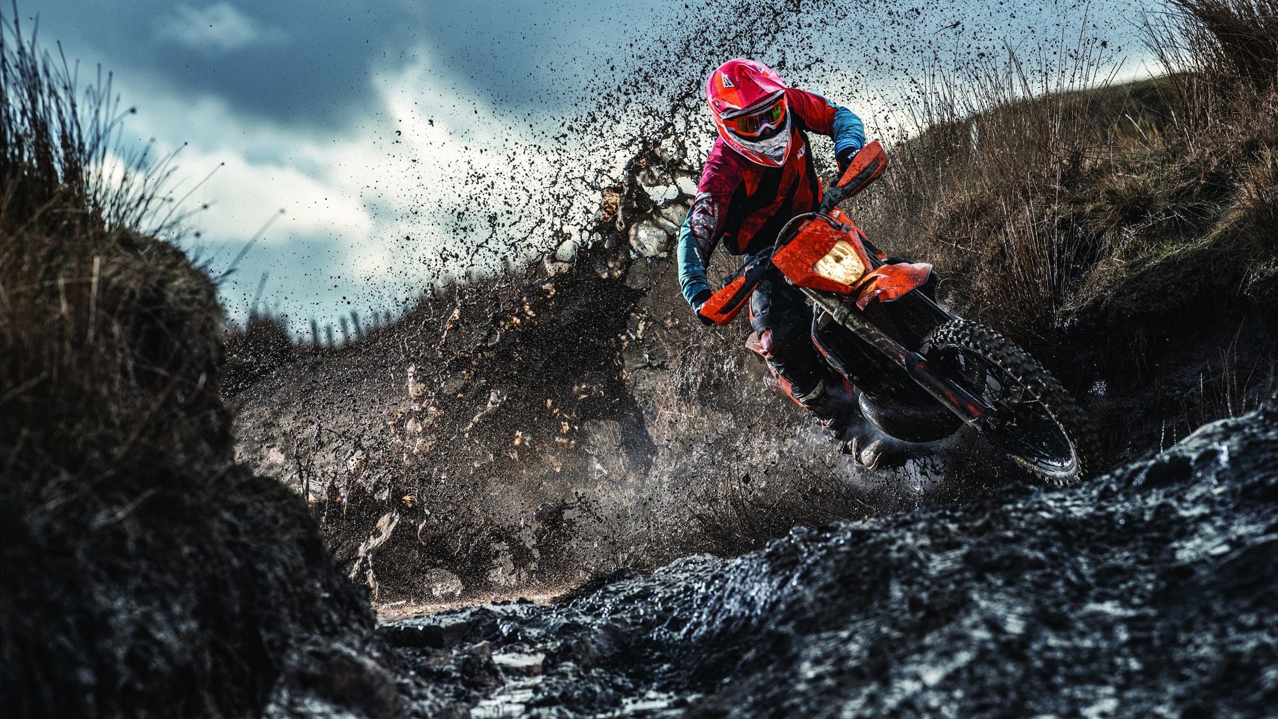 加克波一锤定音，奥地利带走威尔士晋级欧洲杯